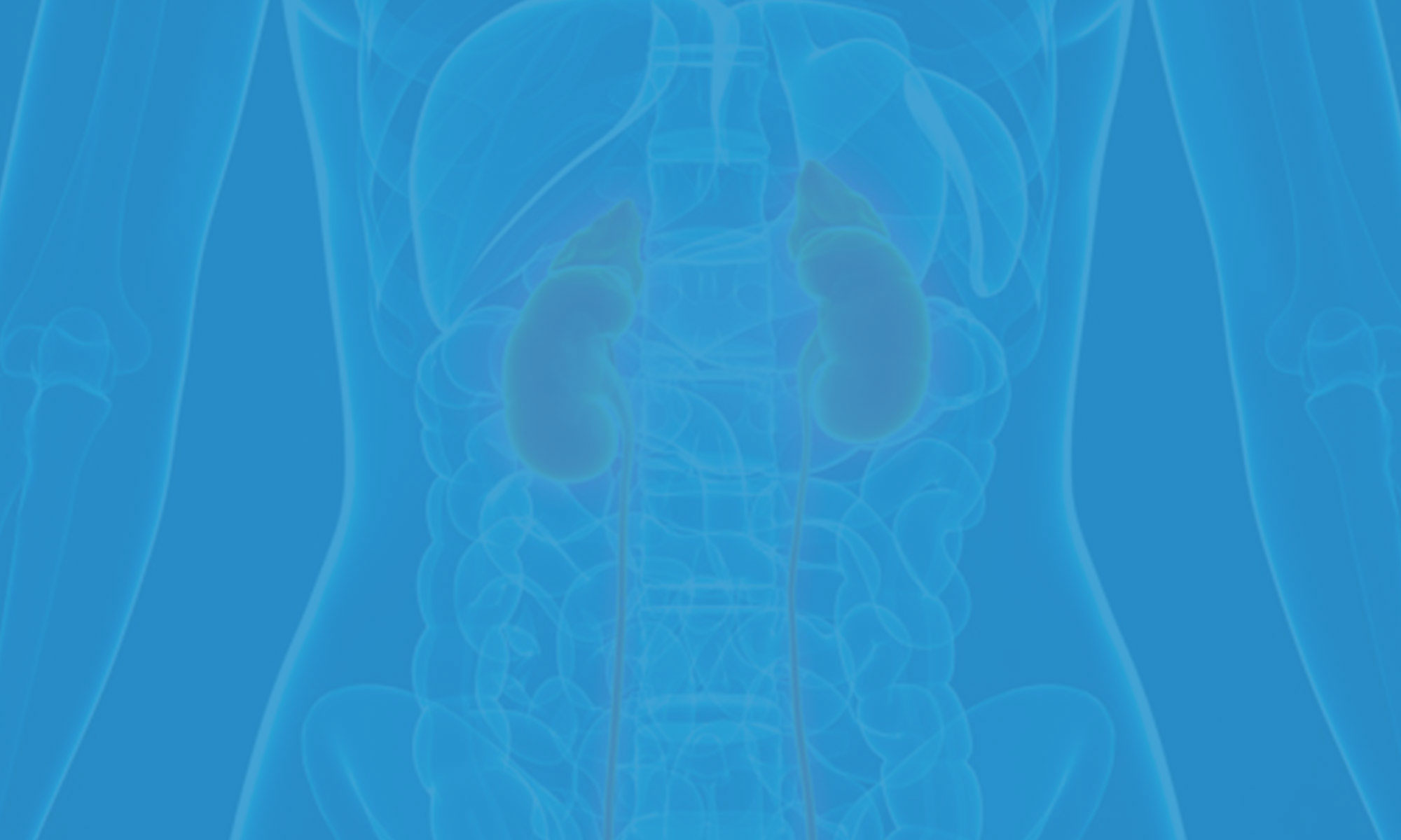 KIDNEY DISEASE 101 Kidney Foundation of Northwest Ohio